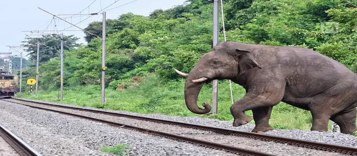 Kerala 