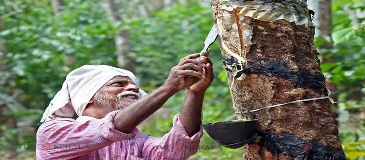 kerala