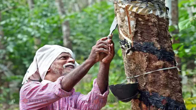 kerala