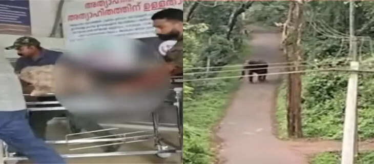 Wayanad 