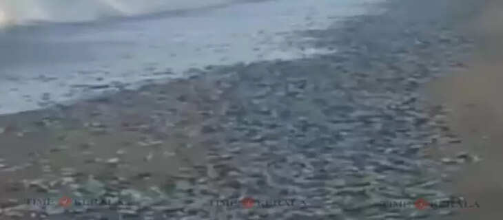 Kerala