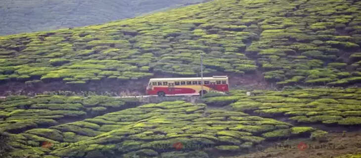 Bus