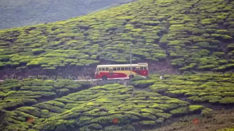 Bus