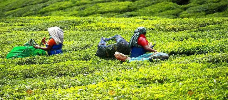 Kerala