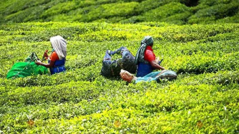 Kerala