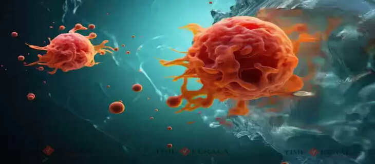 Science