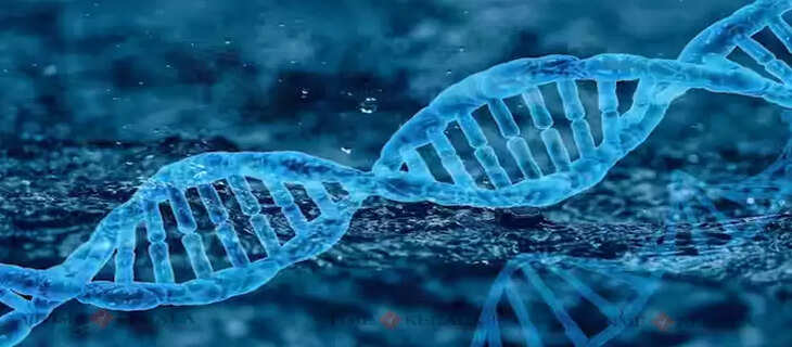 Science