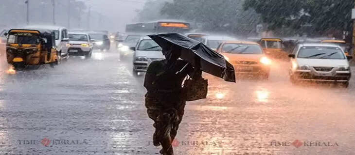 RAIN 6
