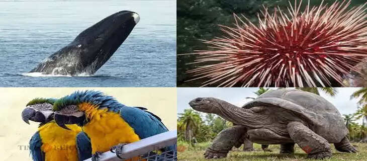 Science