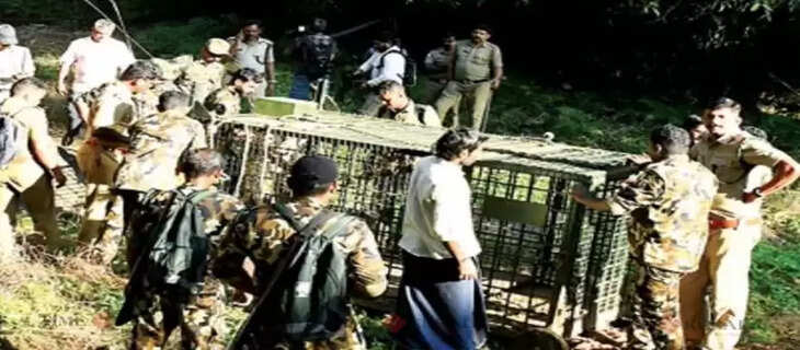 kerala