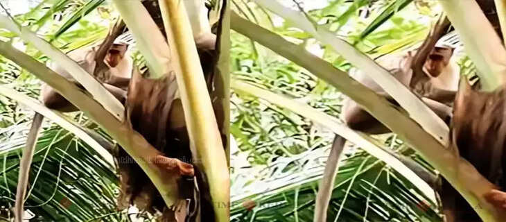 Kerala