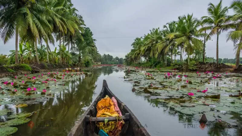 kumarakam