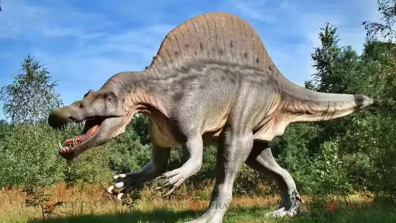 Dinosar