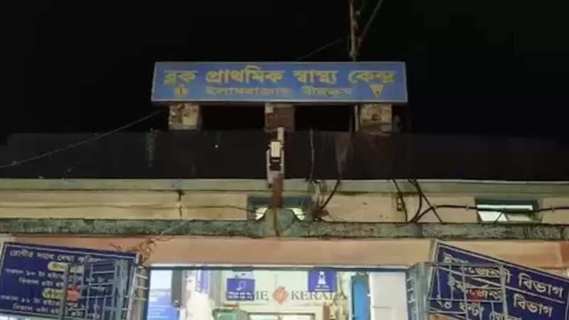 bengal