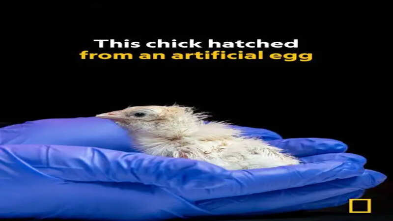 Science 