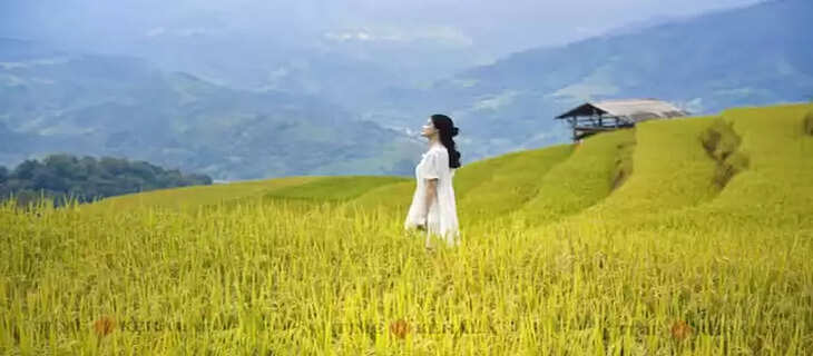 Travel