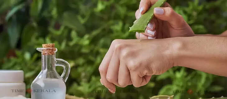 aloe vera