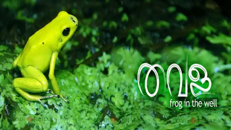 frog
