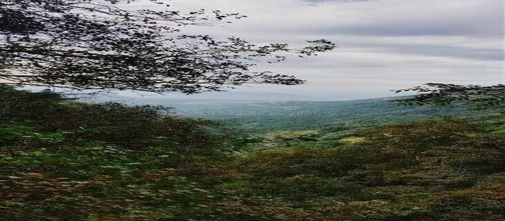 Nature