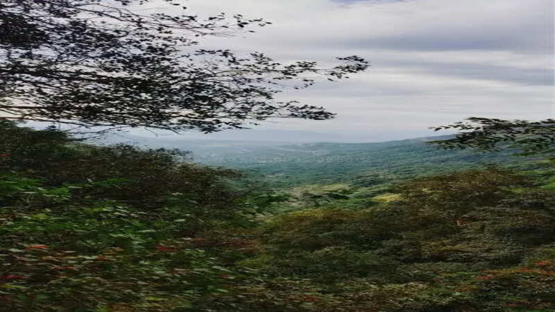 Nature