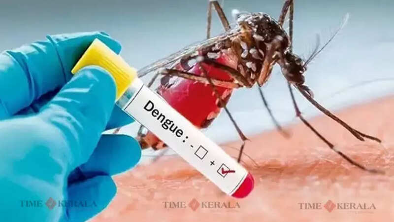 dengue