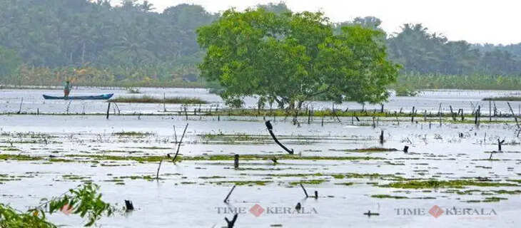 Vellayani