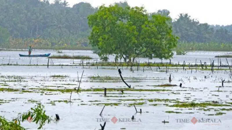 Vellayani