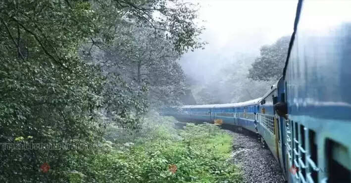 Train