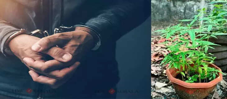 crime