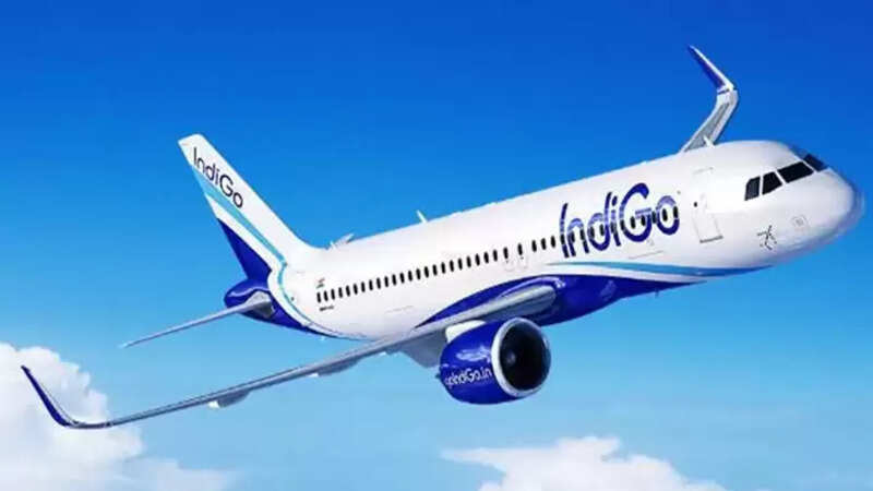 indigo