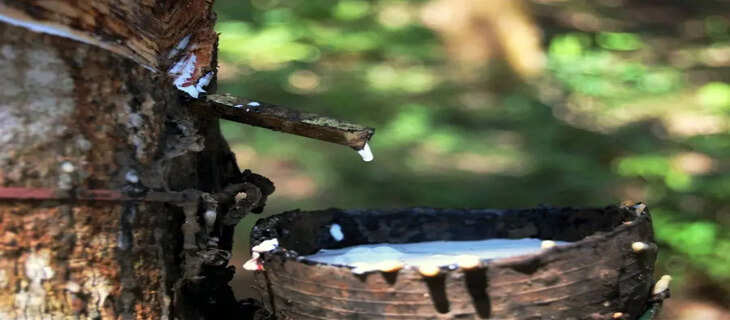 Kerala 