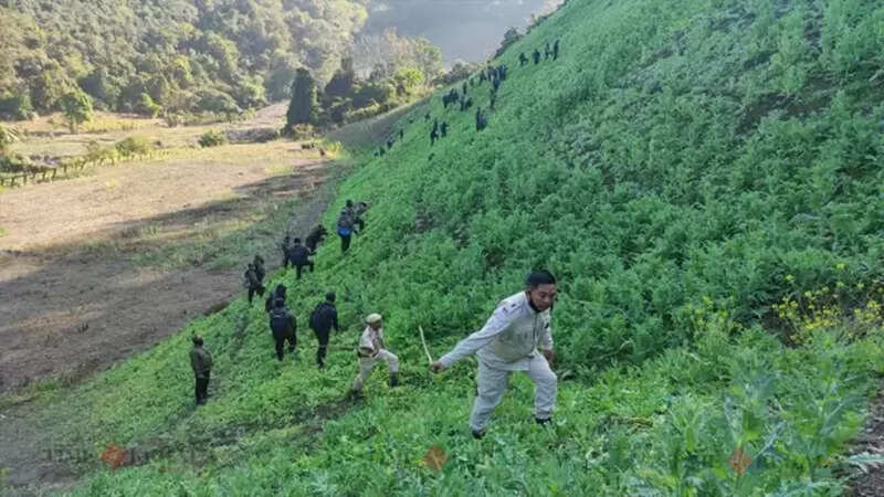 Manipur