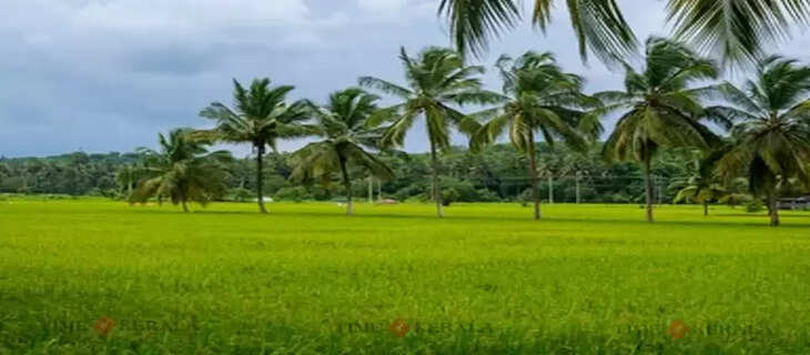 Kollam