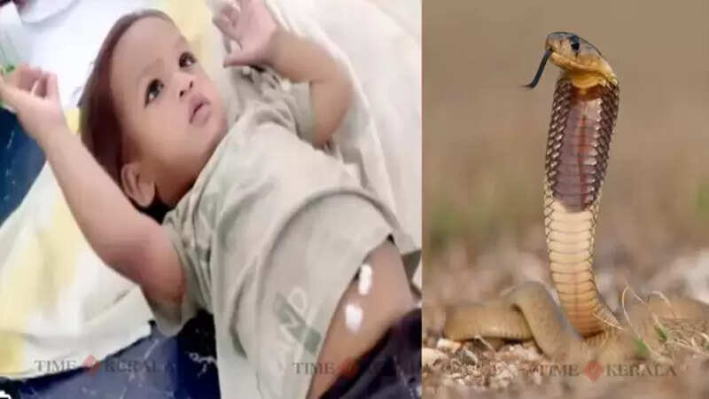 snake