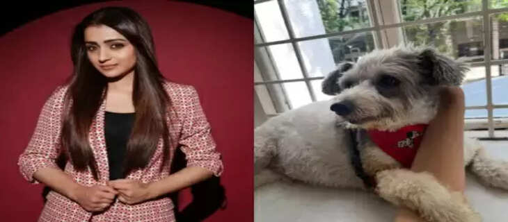 trisha
