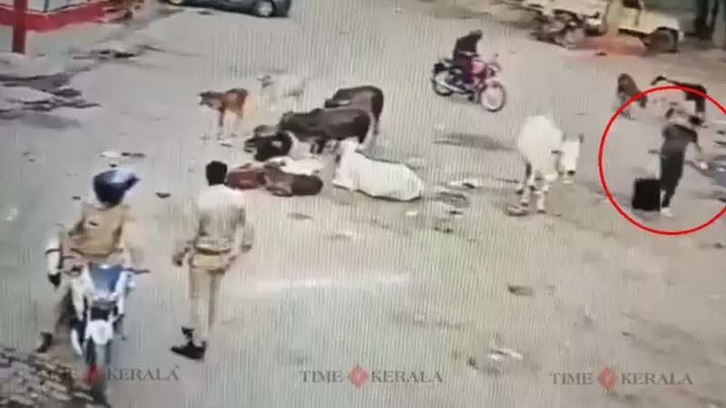 Crime