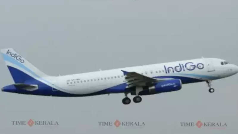 Indigo