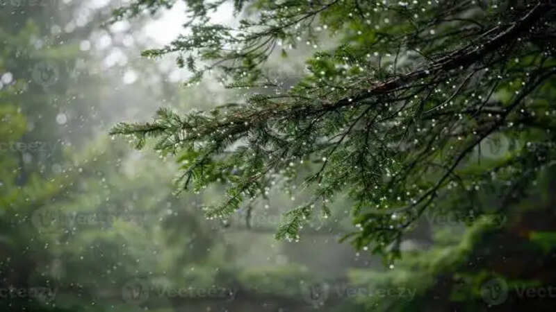 Rain