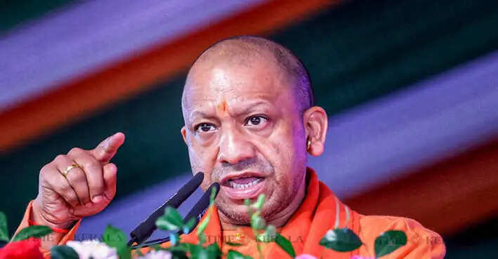 Yogi
