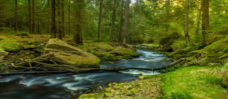Nature