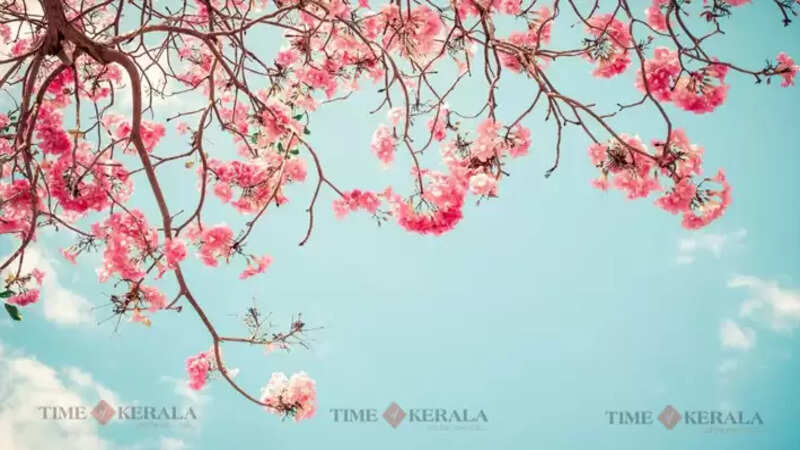 kerala