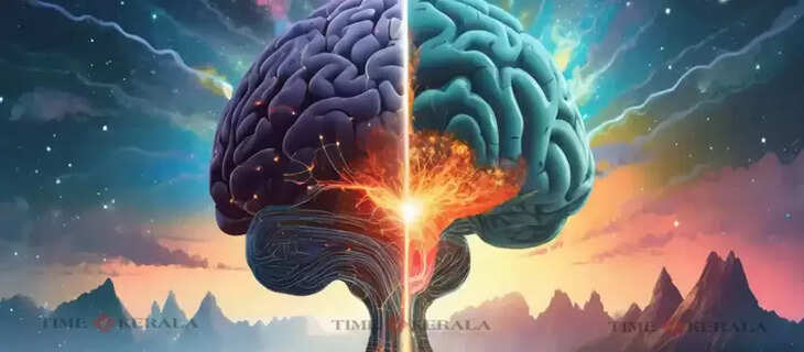 Brain