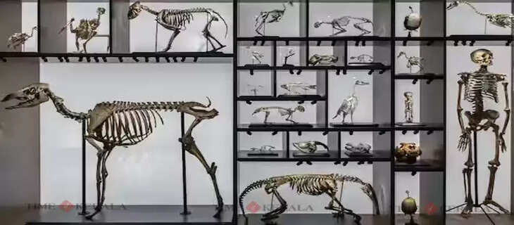 Science