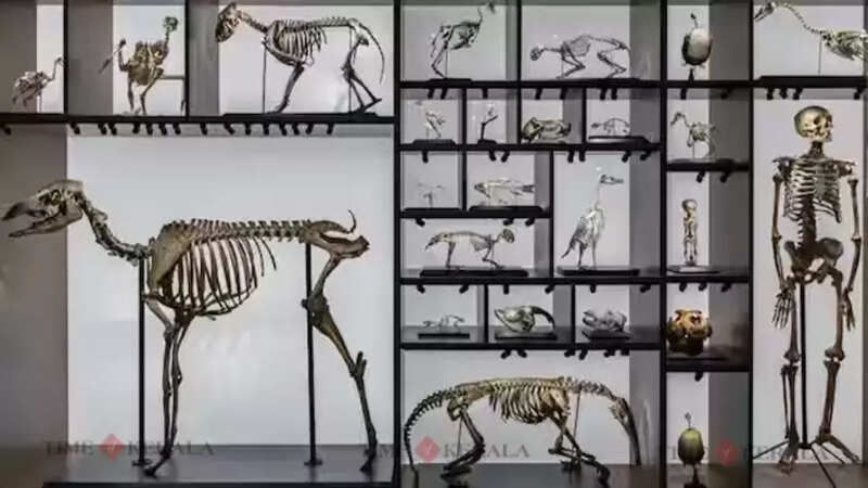 Science
