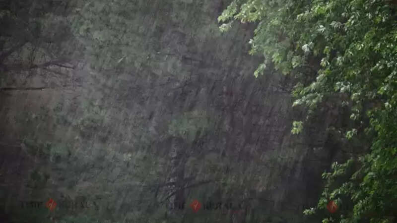 Rain