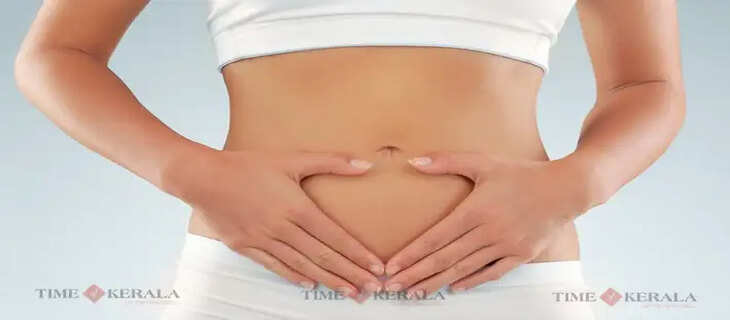 Gut