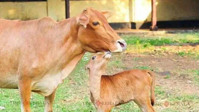agriculture