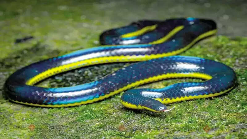Kerala