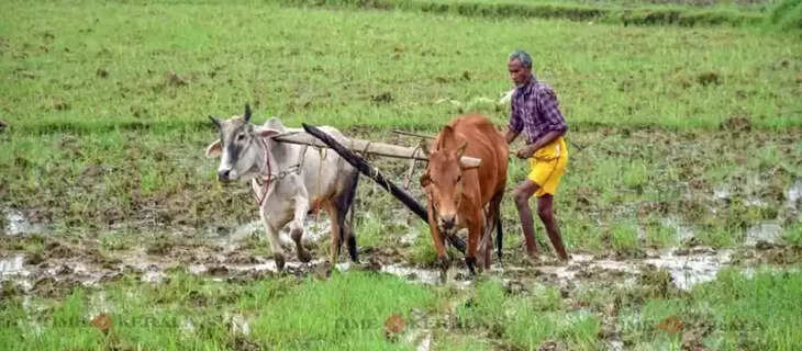 Kerala