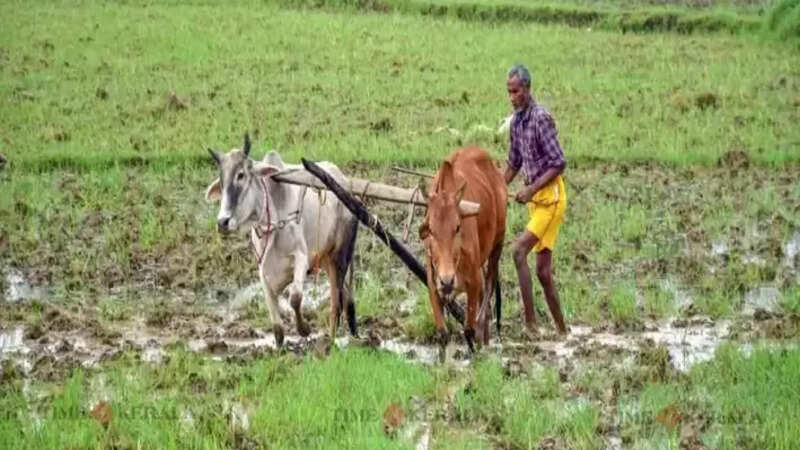 Kerala